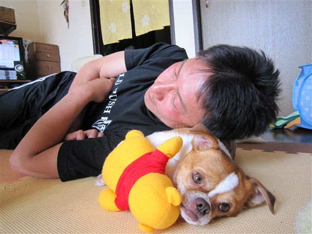 f:id:yasukazu01:20110524123732j:image
