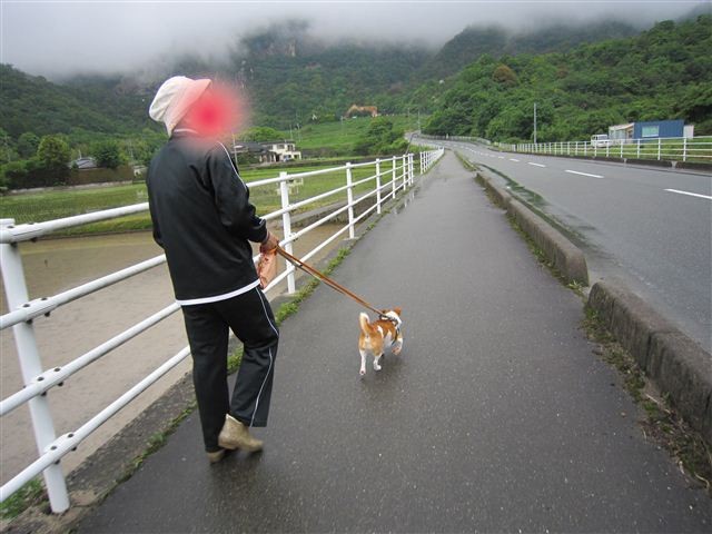 f:id:yasukazu01:20110528135805j:image