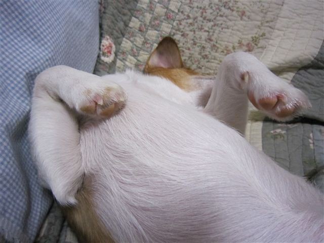 f:id:yasukazu01:20110528181422j:image