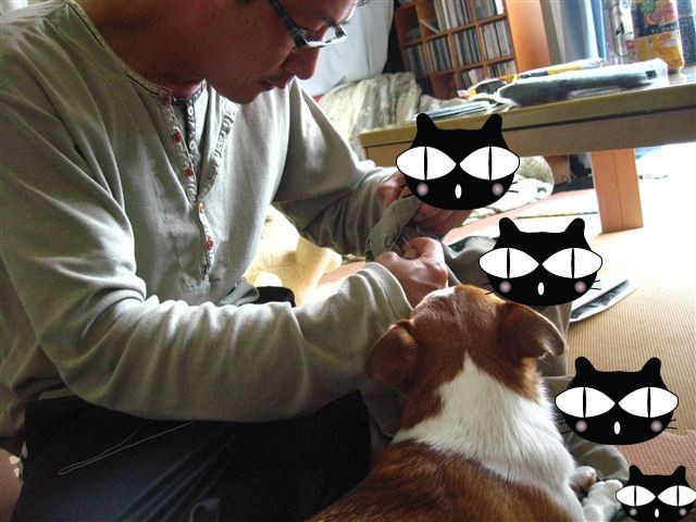 f:id:yasukazu01:20110529131245j:image