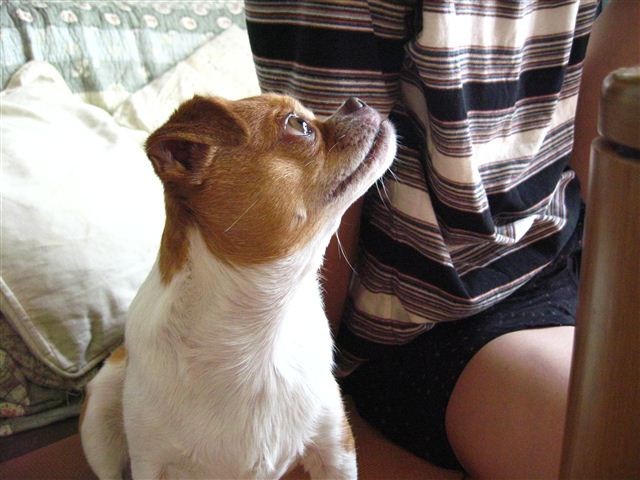 f:id:yasukazu01:20110622123722j:image