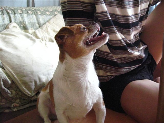 f:id:yasukazu01:20110622123735j:image