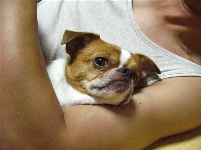 20110626201939