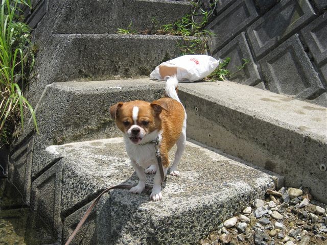 f:id:yasukazu01:20110715115352j:image f:id:yasukazu01:20110715115352j:image