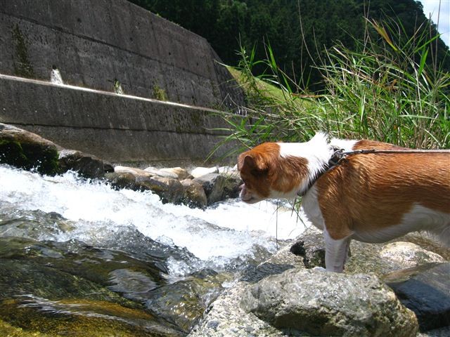 f:id:yasukazu01:20110715115453j:image f:id:yasukazu01:20110715115453j:image