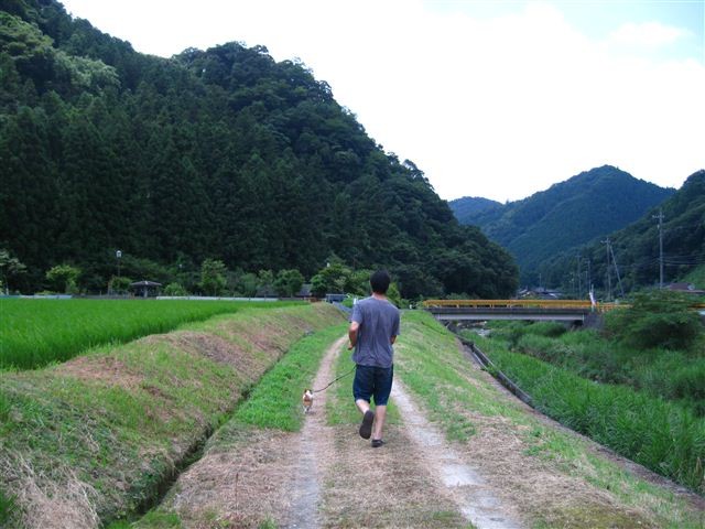 f:id:yasukazu01:20110715120102j:image f:id:yasukazu01:20110715120102j:image