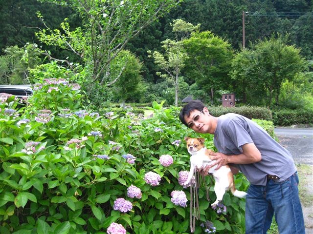 f:id:yasukazu01:20110715120244j:image f:id:yasukazu01:20110715120244j:image