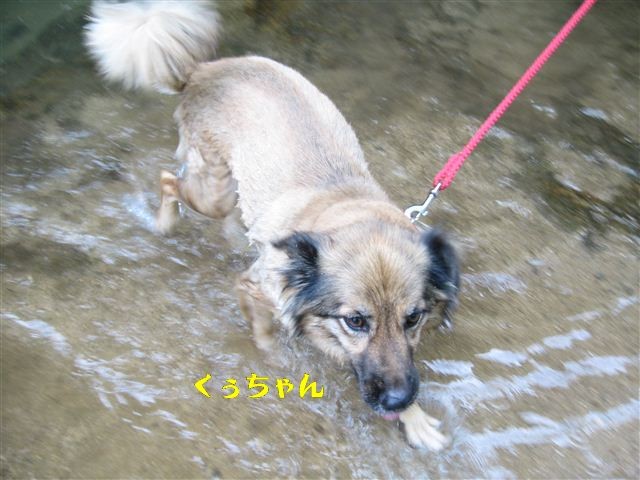 f:id:yasukazu01:20110731085218j:image