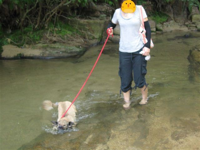 f:id:yasukazu01:20110731085254j:image