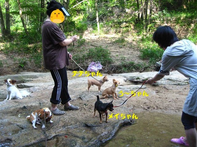 f:id:yasukazu01:20110731092200j:image