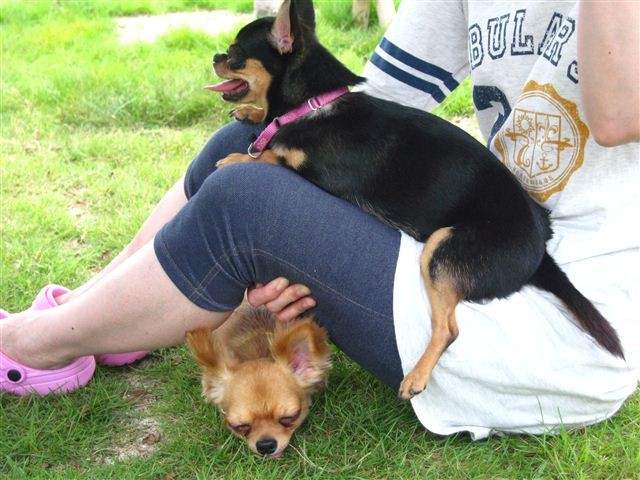 f:id:yasukazu01:20110731115432j:image f:id:yasukazu01:20110731115432j:image