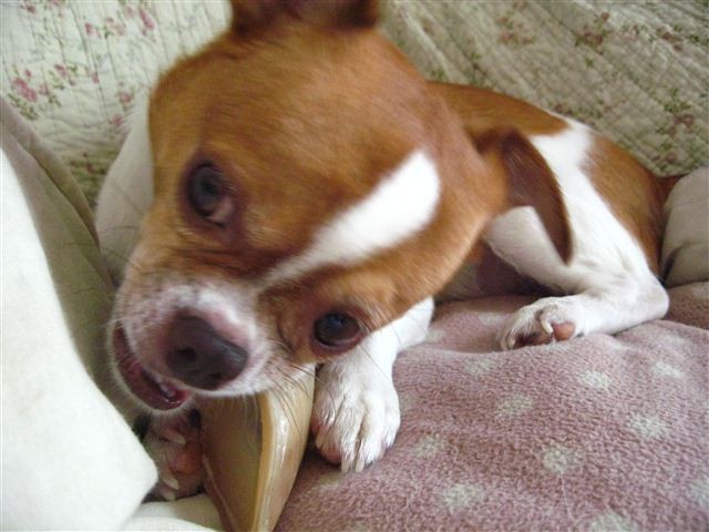 f:id:yasukazu01:20110801142630j:image f:id:yasukazu01:20110801142630j:image