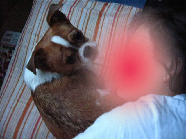 f:id:yasukazu01:20110801192004j:image