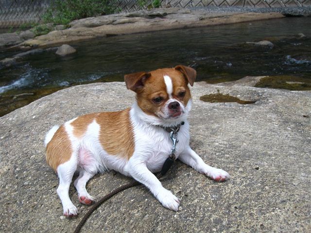 20110807130835