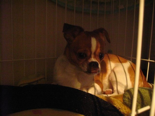 f:id:yasukazu01:20110822181535j:image