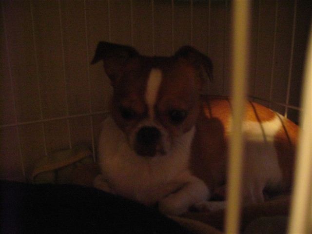 f:id:yasukazu01:20110822181551j:image