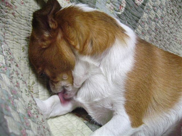 f:id:yasukazu01:20110822184252j:image