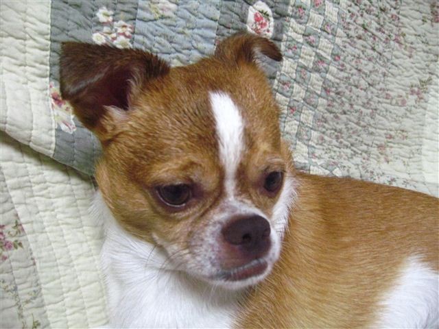 f:id:yasukazu01:20110822184320j:image