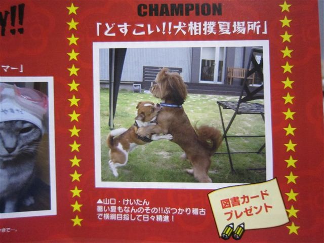20110828204311