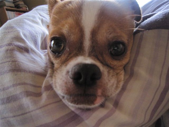 20110902132315