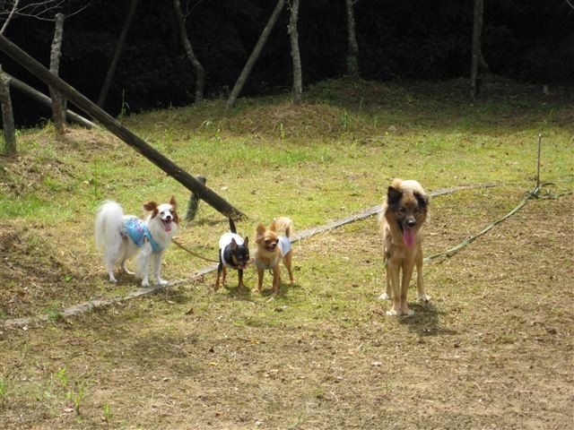 20110911114851