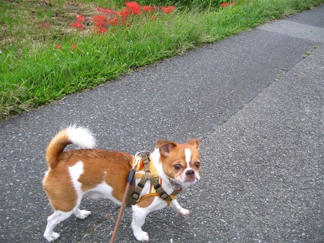 20110921125539