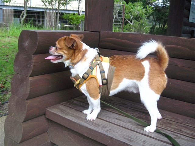 20110923121758