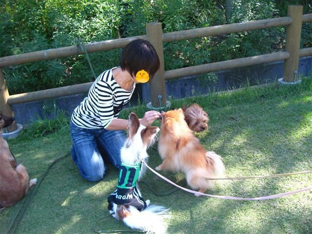 f:id:yasukazu01:20110923145026j:image f:id:yasukazu01:20110923145026j:image