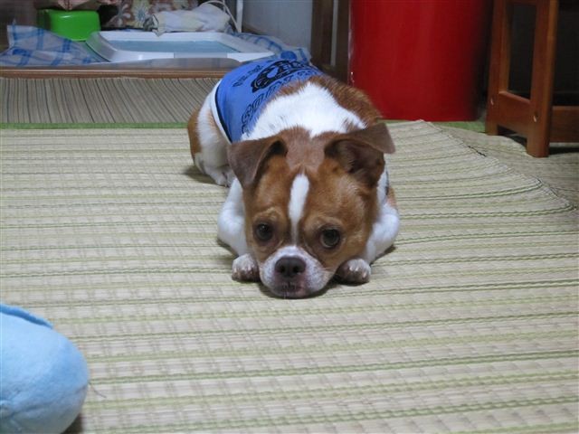 20110925162522