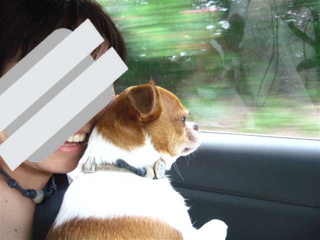 f:id:yasukazu01:20110926150329j:image