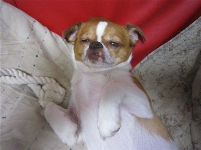 20110930212216
