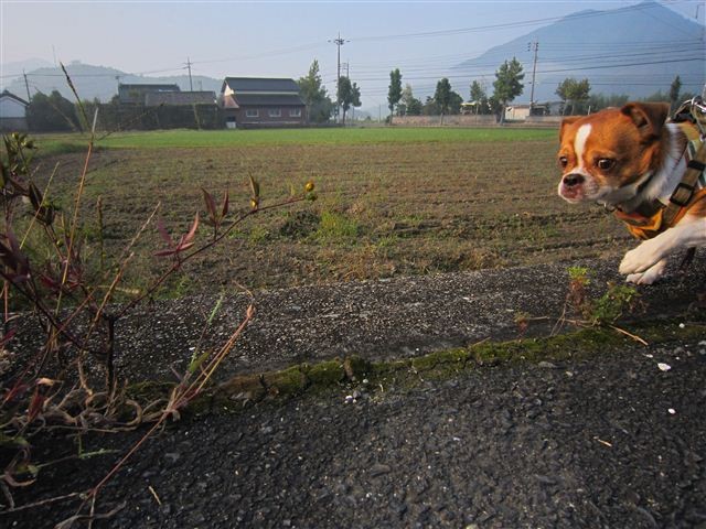20111010072637