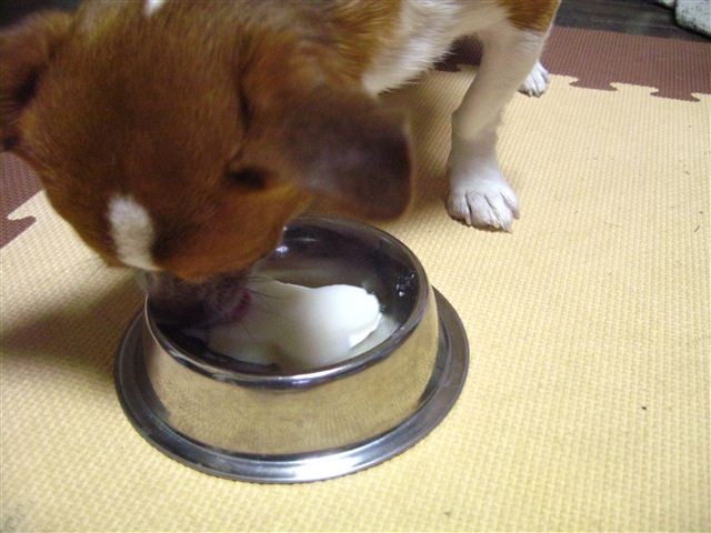 f:id:yasukazu01:20111011195000j:image