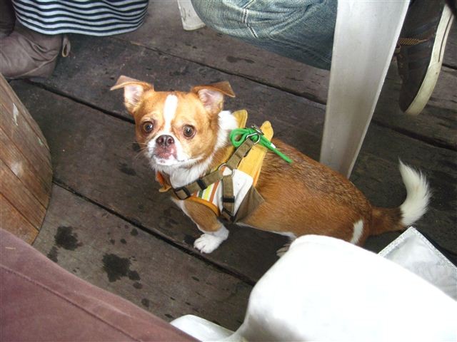 f:id:yasukazu01:20111023113747j:image
