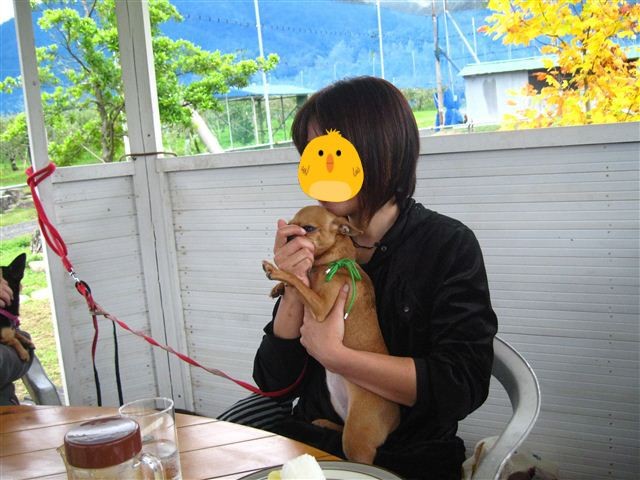 f:id:yasukazu01:20111023114736j:image