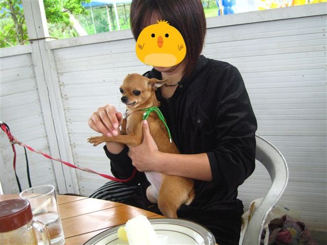 f:id:yasukazu01:20111023114743j:image