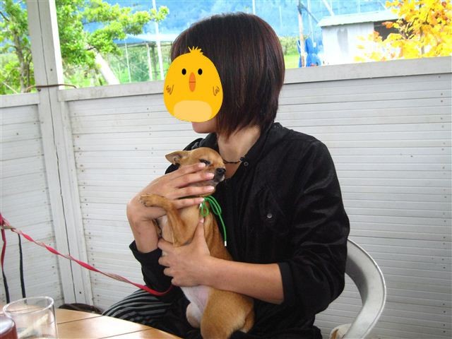 f:id:yasukazu01:20111023114749j:image