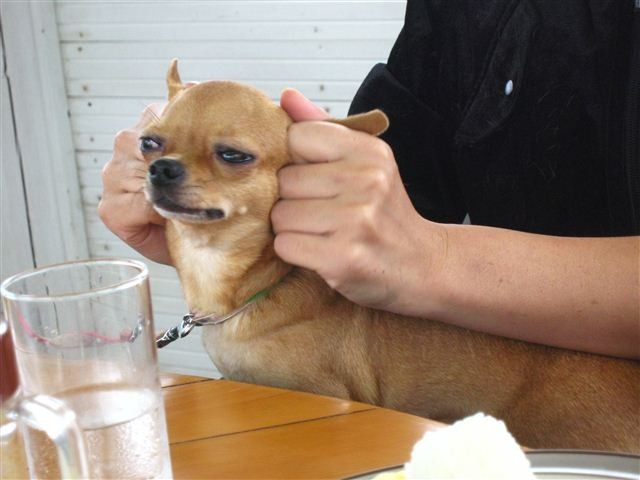 f:id:yasukazu01:20111023115023j:image