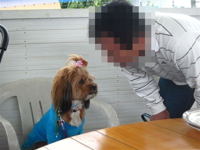 f:id:yasukazu01:20111023121337j:image