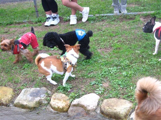 f:id:yasukazu01:20111023121853j:image