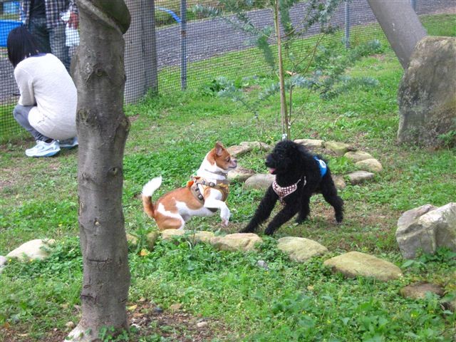 f:id:yasukazu01:20111023122332j:image