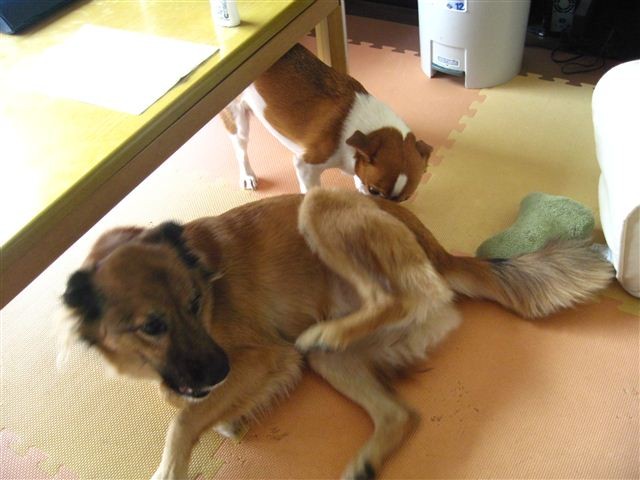 20111028121242