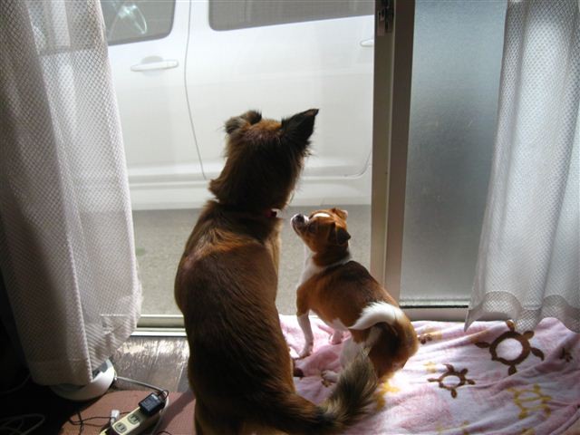 f:id:yasukazu01:20111028140500j:image f:id:yasukazu01:20111028140500j:image