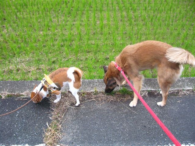 20111028145346