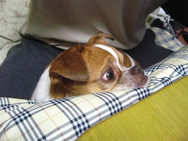 20111118191631