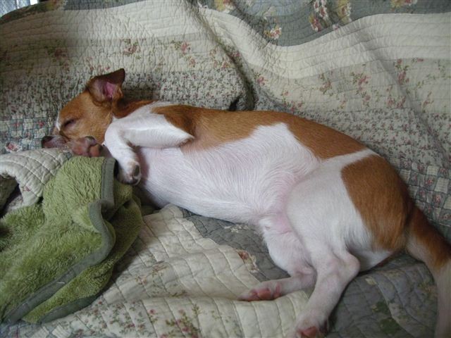 20111129134949