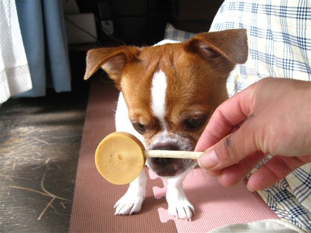 20111204120507