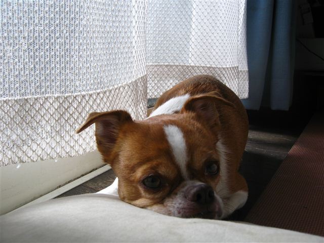 20111204123425