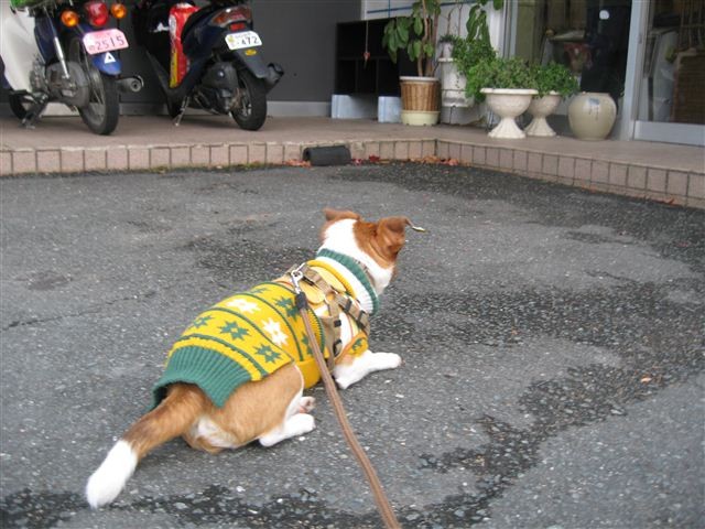 20111204161247
