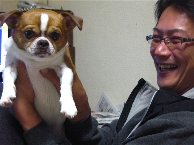 f:id:yasukazu01:20111206000457j:image